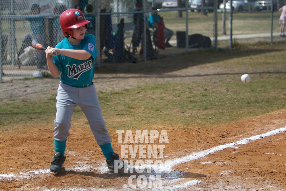 IMG_5380.jpg