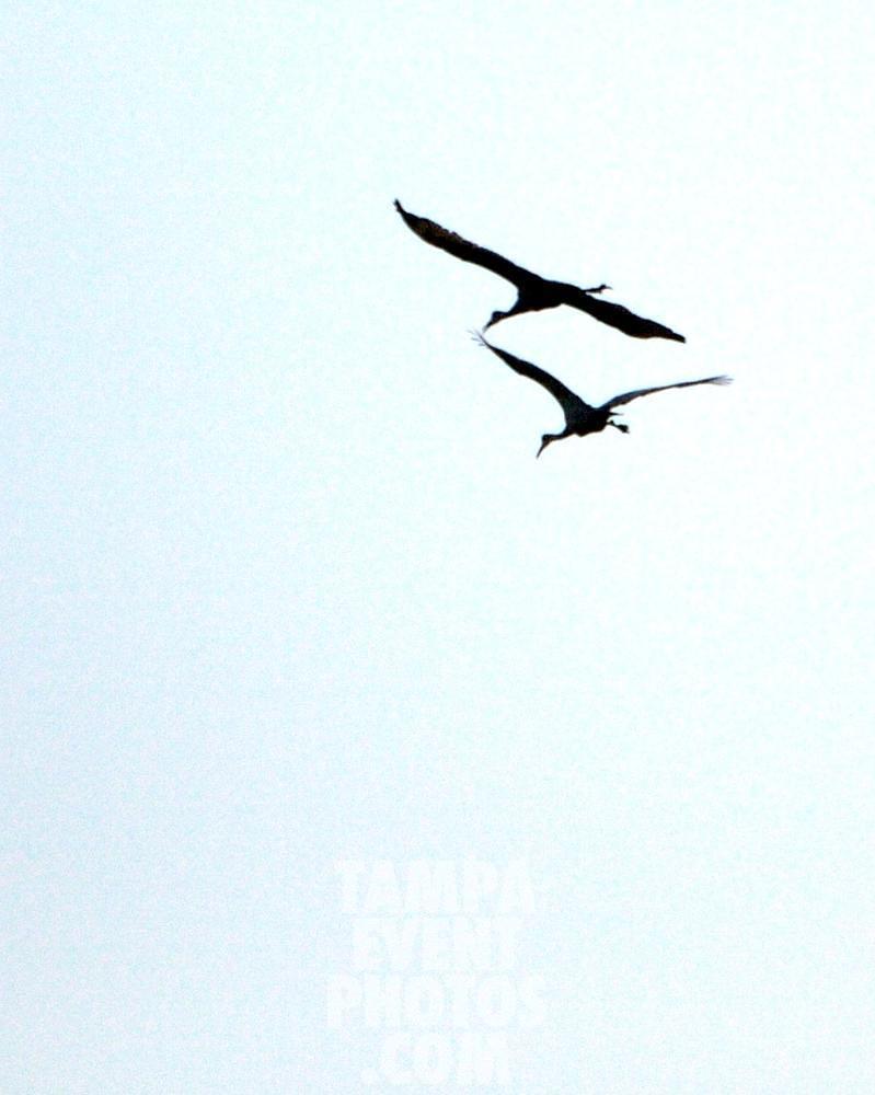 _MG_0174.jpg