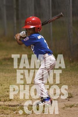 IMG_4871.jpg