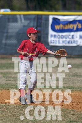 IMG_5373.jpg