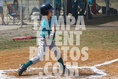 IMG_5375.jpg