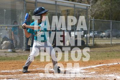 IMG_5383.jpg