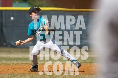 IMG_5399.jpg