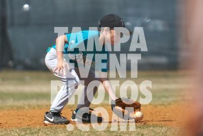 IMG_5412.jpg