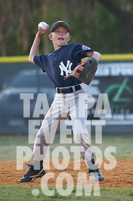 IMG_6591.jpg