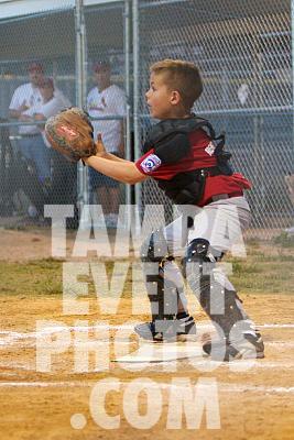 IMG_6684.jpg