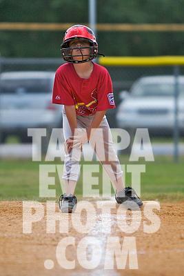 IMG_7219.jpg