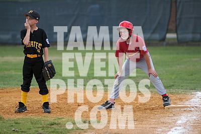 _MG_7313.jpg