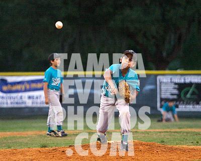 _MG_0235.jpg