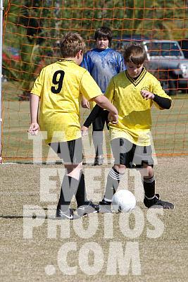 _MG_0040.jpg