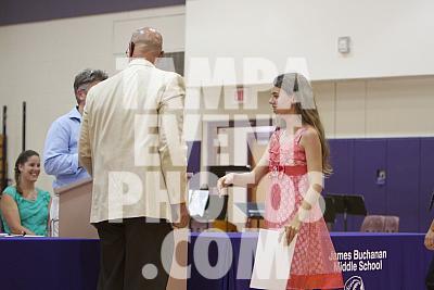 IMG 8619